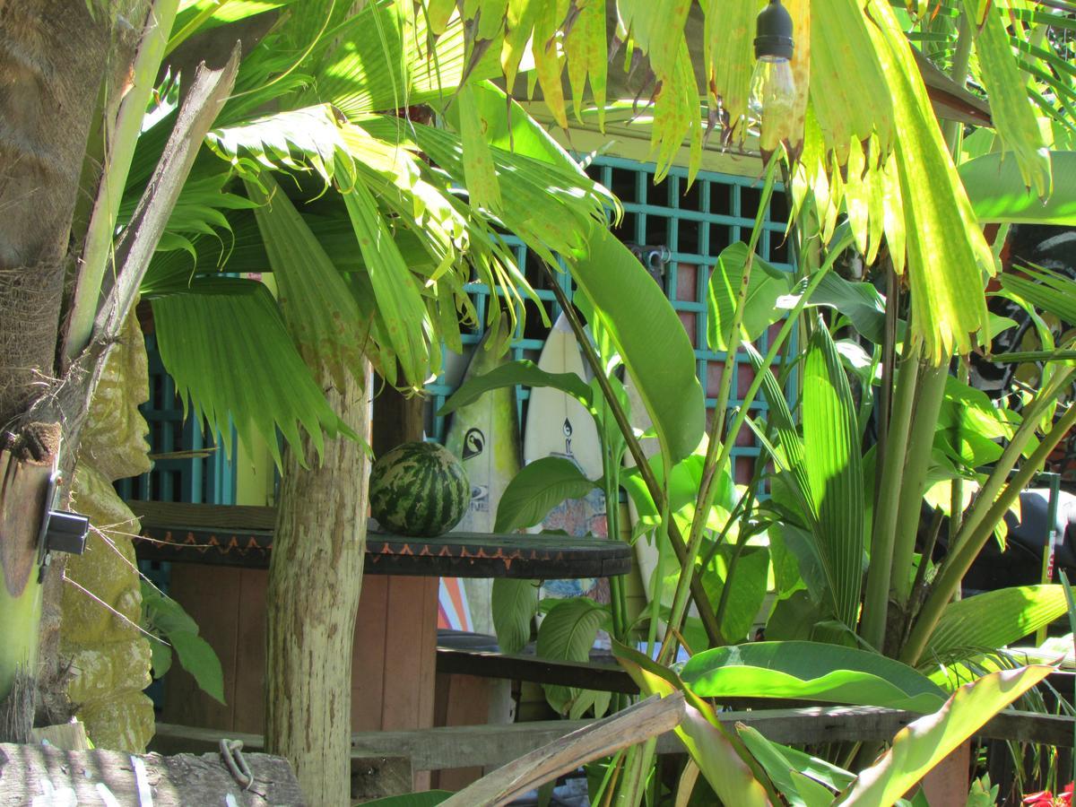 Coconut Hostel Bocas Town Extérieur photo