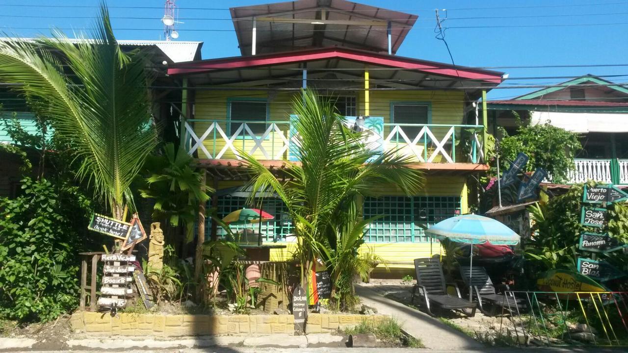 Coconut Hostel Bocas Town Extérieur photo