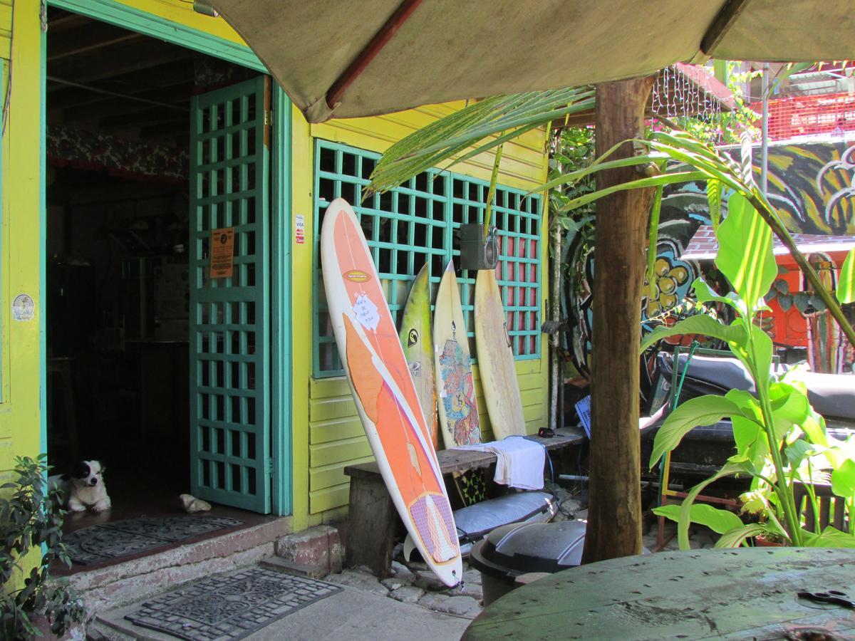Coconut Hostel Bocas Town Extérieur photo