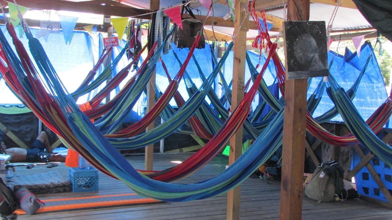Coconut Hostel Bocas Town Extérieur photo