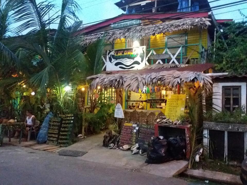 Coconut Hostel Bocas Town Extérieur photo