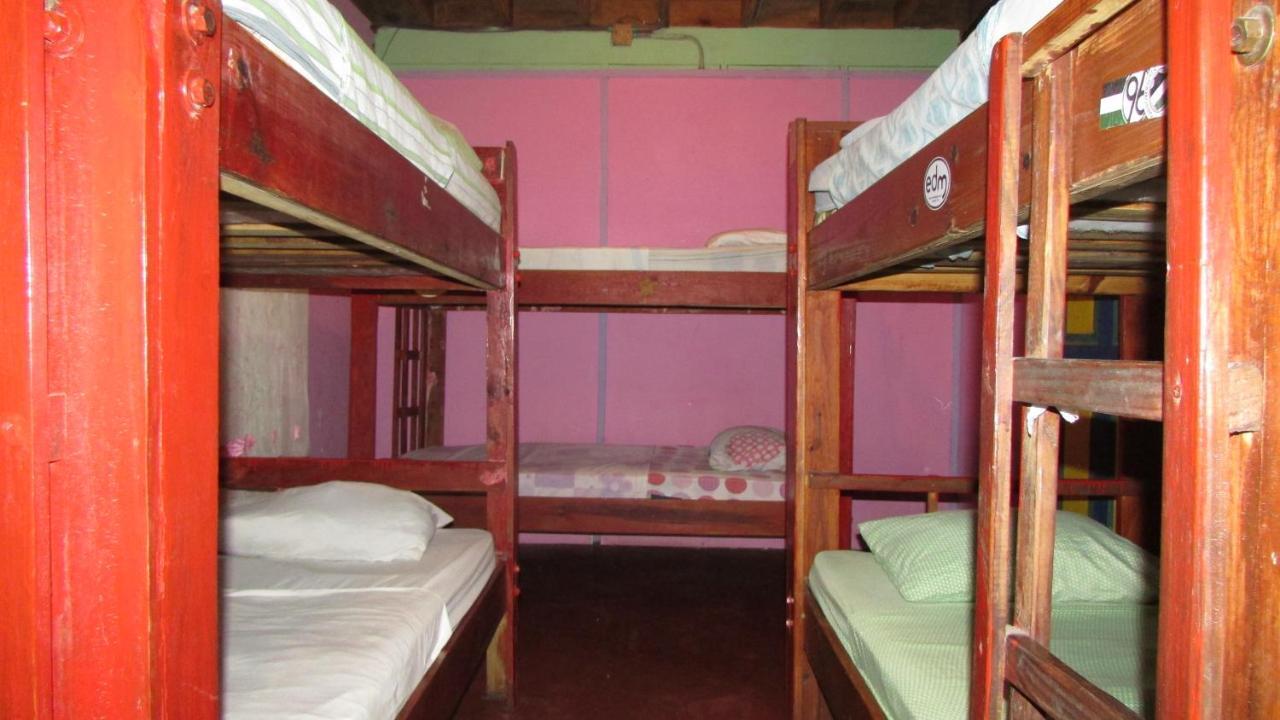 Coconut Hostel Bocas Town Extérieur photo
