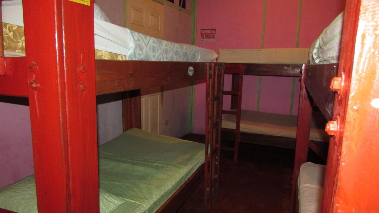 Coconut Hostel Bocas Town Extérieur photo