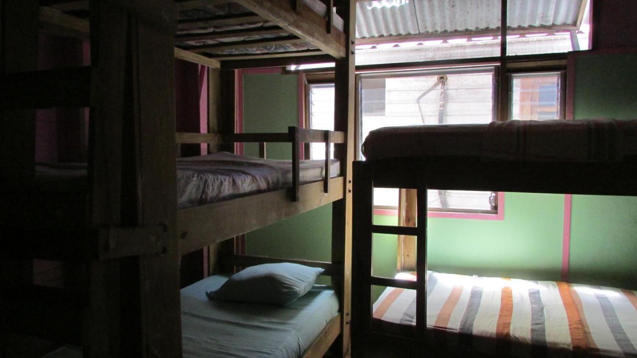 Coconut Hostel Bocas Town Extérieur photo
