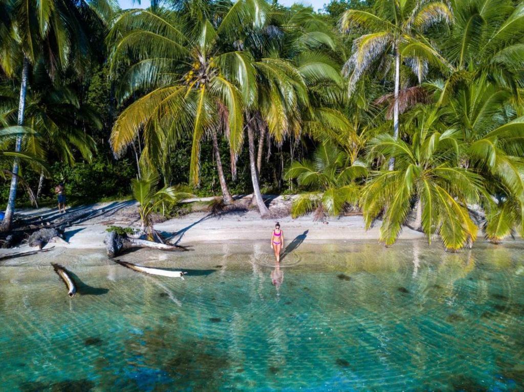 Coconut Hostel Bocas Town Extérieur photo